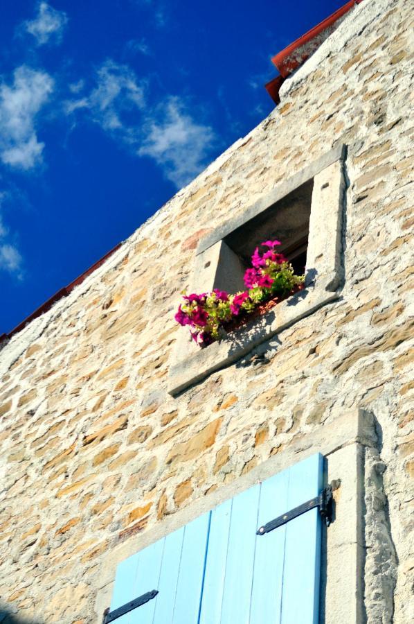 Vila Ruine-Motovun Kh Exteriér fotografie